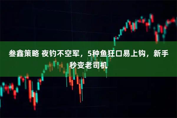 叁鑫策略 夜钓不空军，5种鱼狂口易上钩，新手秒变老司机