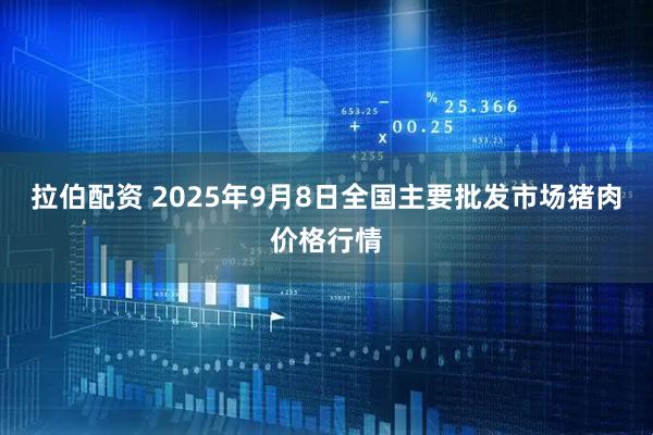 拉伯配资 2025年9月8日全国主要批发市场猪肉价格行情