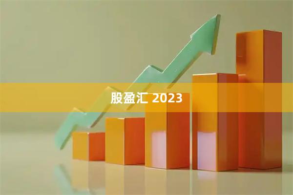 股盈汇 2023